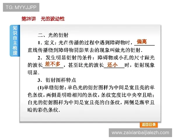 丽波真人测试常用方法与实用技巧，提升测试效率的实战经验