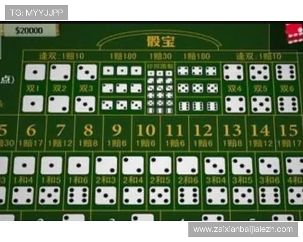新手入门必读的骰宝游戏规则详解让你轻松理解各种投注方式与赔率