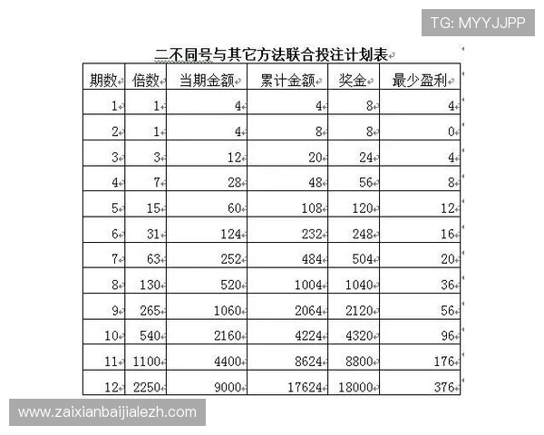 深入解析百家乐经典投注模式，帮助玩家制定科学的投注计划